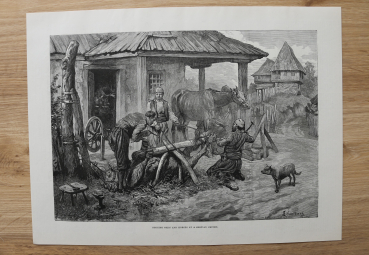 Holzstich Serbien 1885 Beschlagung Pferde und Ochsen serbische Schmiede